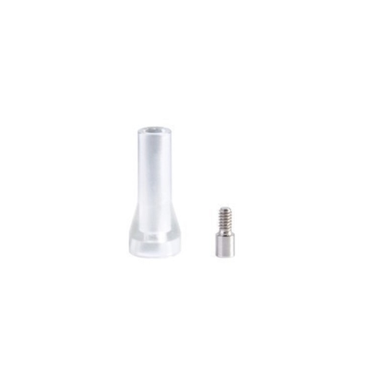 CALCINABLE CAPS FOR STRAIGHT ABUTMENT FOR SCREWED-IN PROSTHESIS
